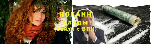хмурый Михайловск