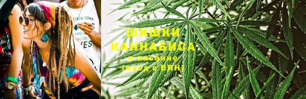 хмурый Михайловск