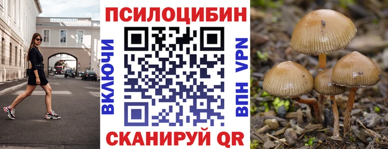 Галлюциногенные грибы Psilocybine cubensis Новоуральск