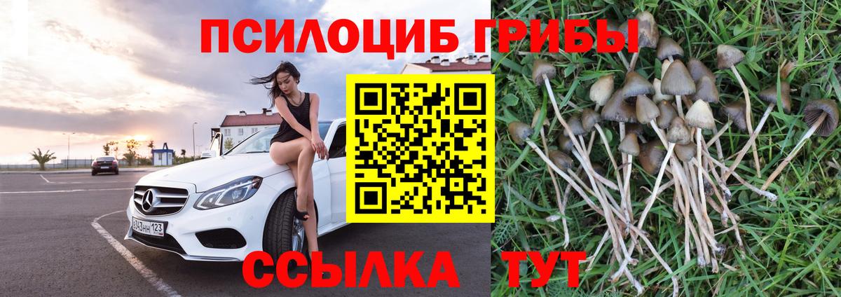Псилоцибиновые грибы Magic Shrooms  закладки  Новоуральск  Вход с VPN 